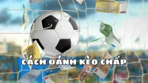Hướng Dẫn Soi Kèo Chấp 2 Trái Tại BongDaLu Luôn Giành Lợi Thế