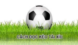 Nghệ Thuật Đọc Kèo Tài Xỉu Tại BongDaLu Để Luôn Giành Lợi Thế Lớn
