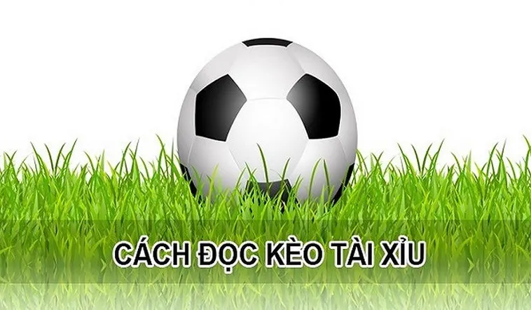 Nghệ Thuật Đọc Kèo Tài Xỉu Tại BongDaLu Để Luôn Giành Lợi Thế Lớn