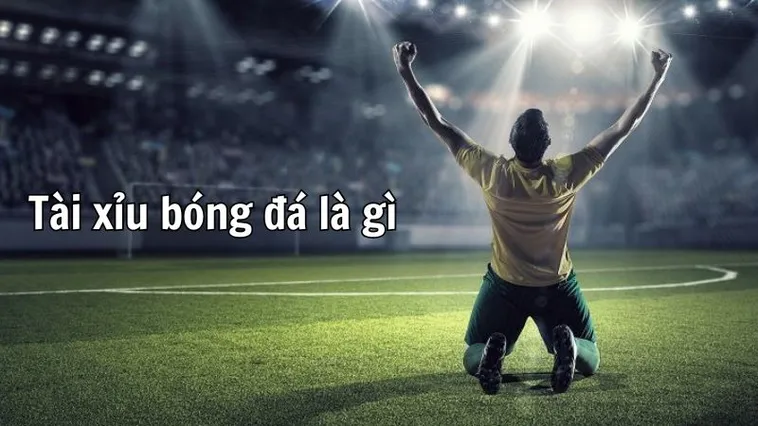 Kinh Nghiệm Xem Kèo Tài Xỉu Bóng Đá Tại BongDaLu Chính Xác