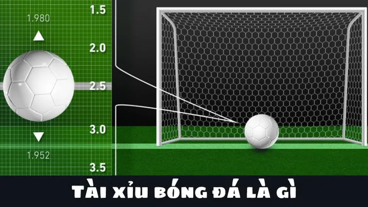 Kinh Nghiệm Xem Kèo Tài Xỉu Bóng Đá Tại BongDaLu Chính Xác