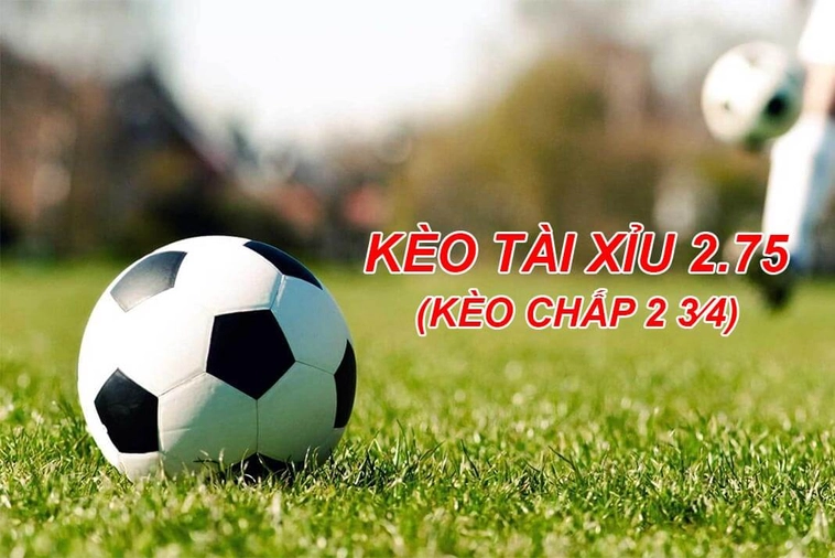 Hướng Dẫn Soi Kèo 2.75 Tại BongDaLu Và Chiến Thuật Đặt Cược Hiệu Quả