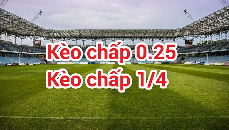 Hướng Dẫn Soi Kèo Chấp 0.25 Tại BongDaLu Chính Xác Nhất Năm 2026